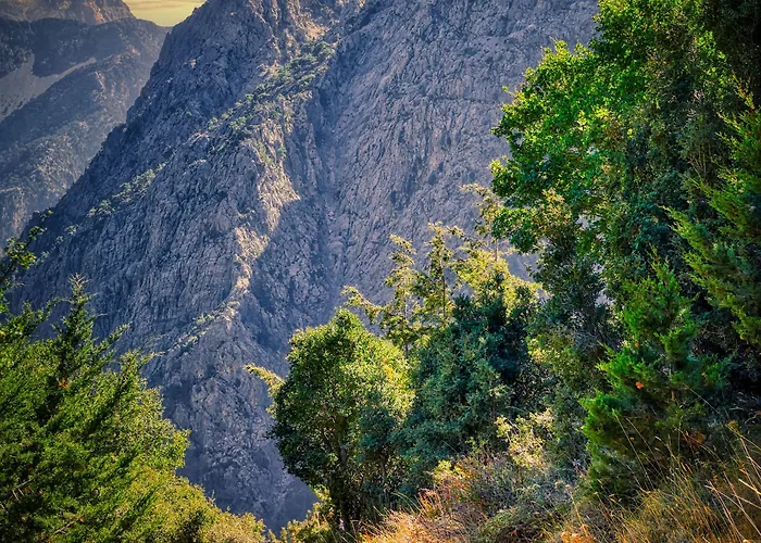 Готель Riviera