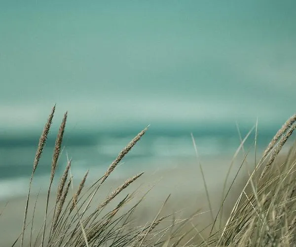 Riviera Hotel Chania (Crete)